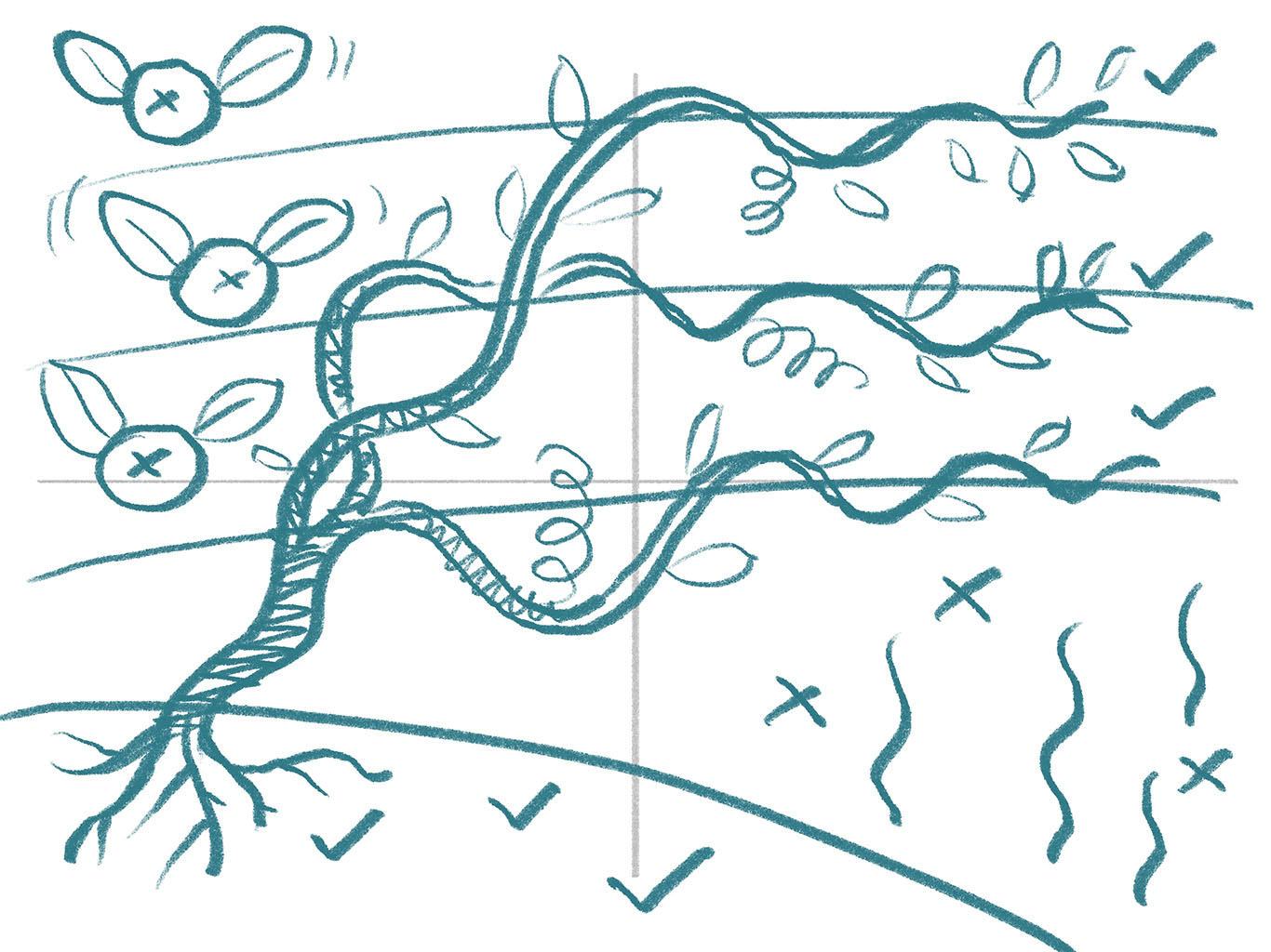 A hand-drawn picture of a SWOT 2x2 chart, overlaid with a vine