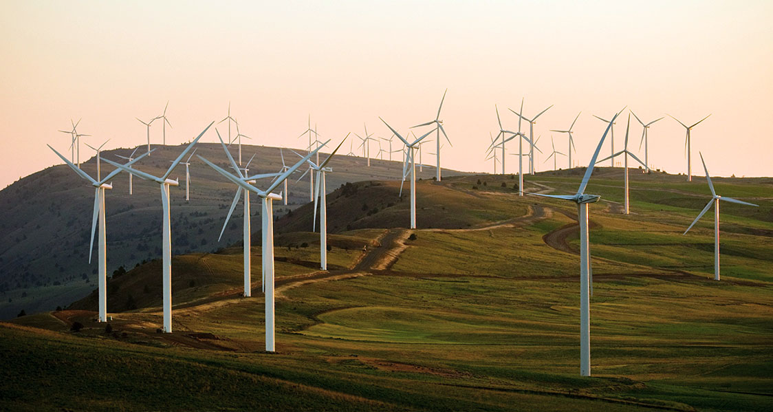 Photo of a set of large windmills for renewable electricity generation